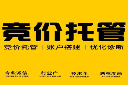 行业领先企业的SEM竞价优化经验分享